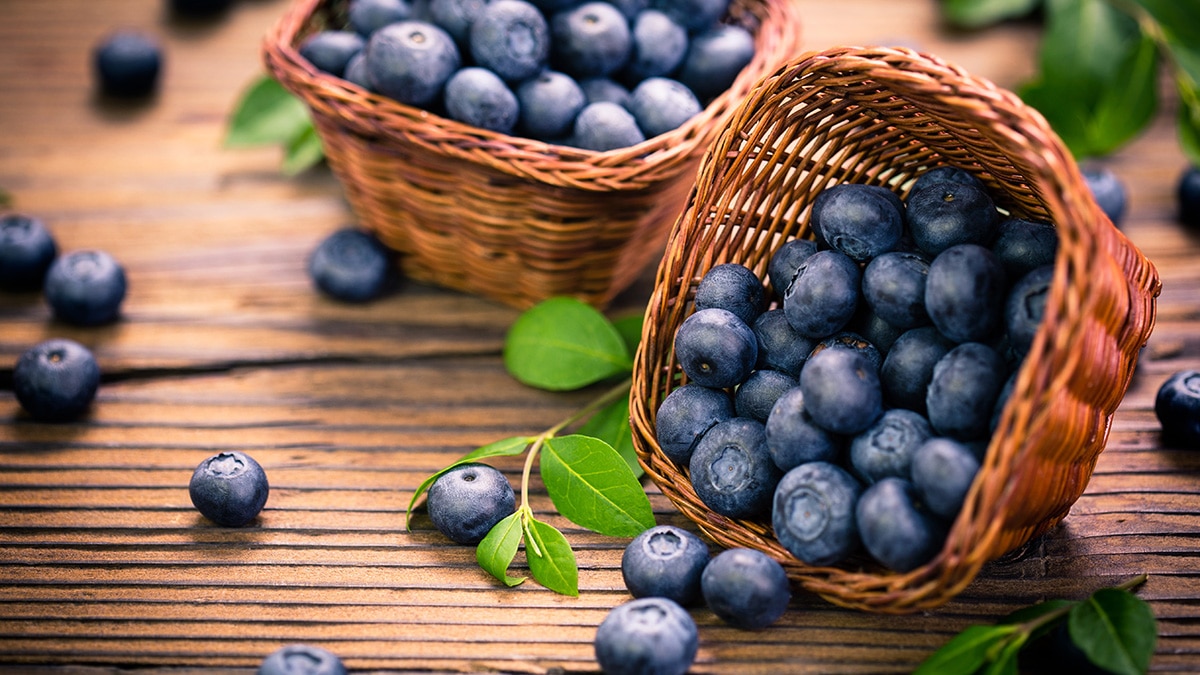 blueberries are great for brain health